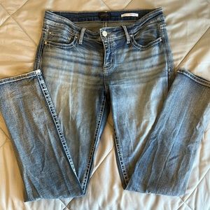 Daytrip Virgo straight jeans